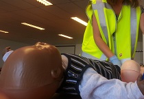 SEHBK cursus